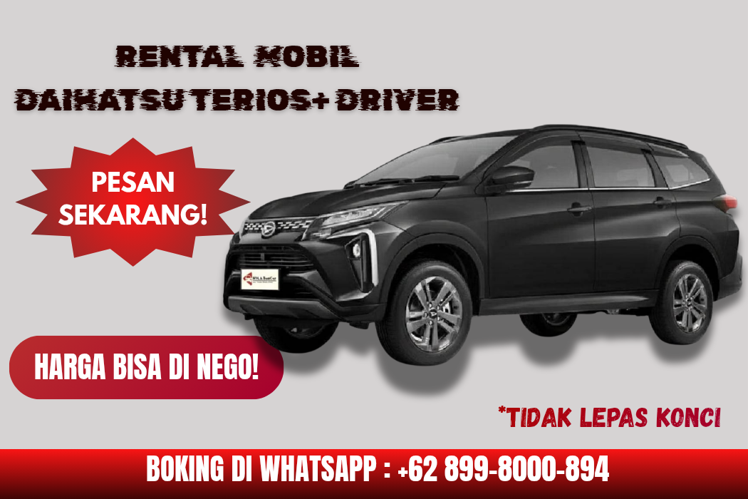DAIHATSU TERIOS